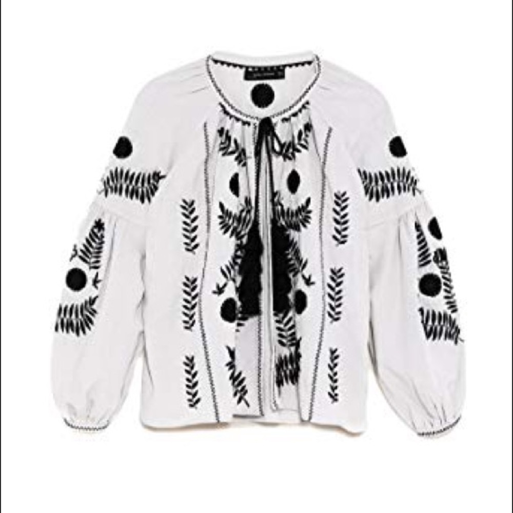 NWOT Zara Embroidered Jacket